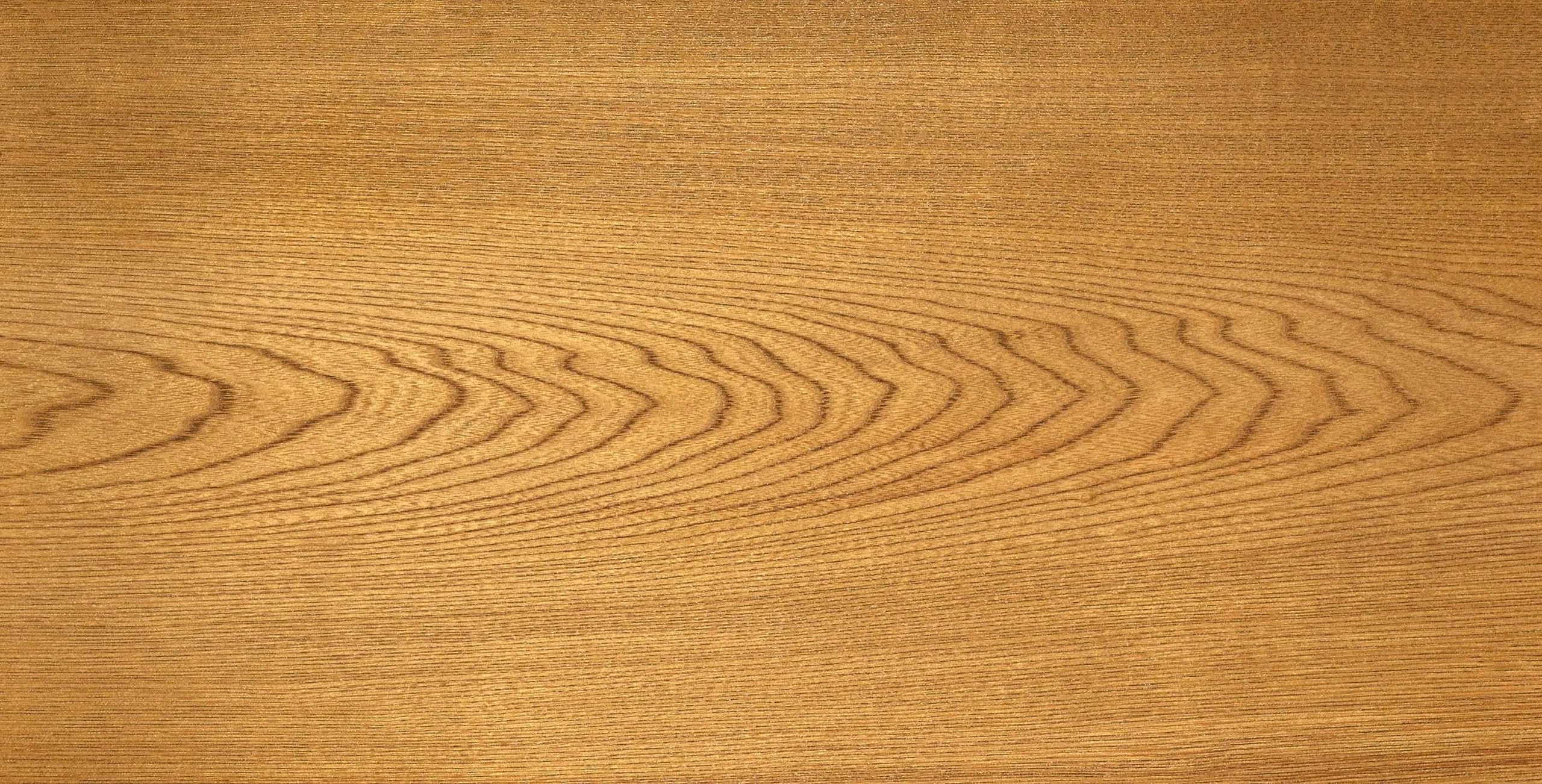 Lưu nháp tự động