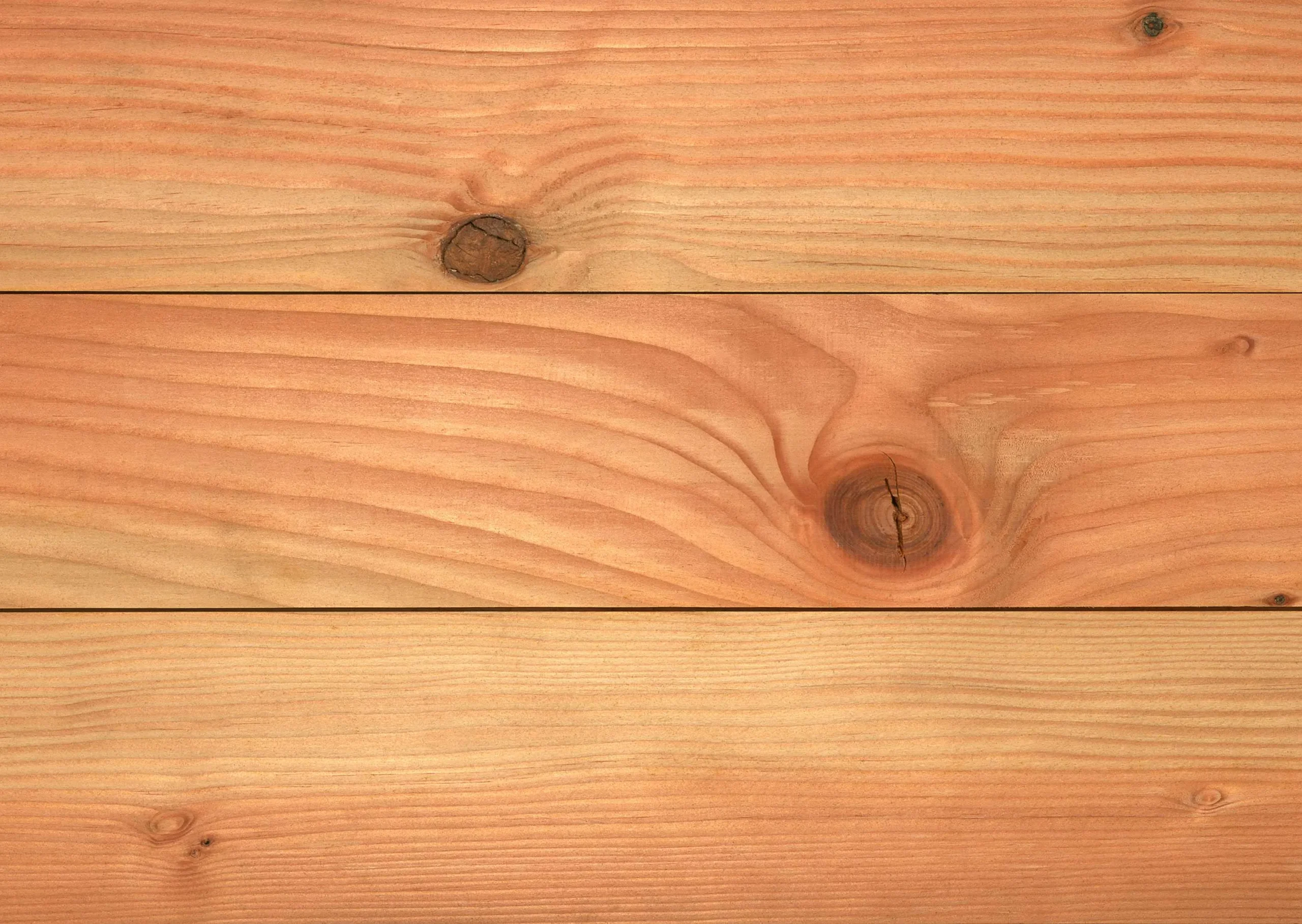 Lưu nháp tự động
