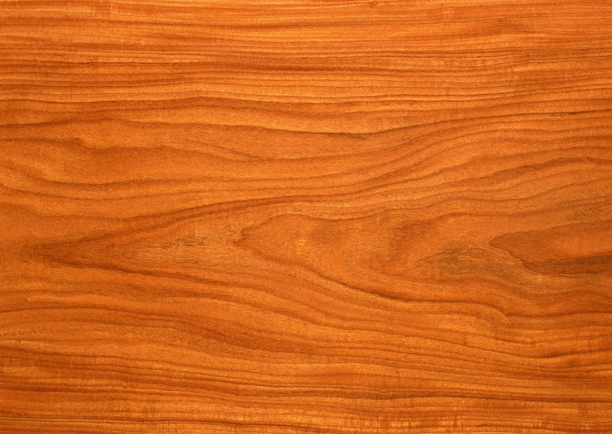 Lưu nháp tự động