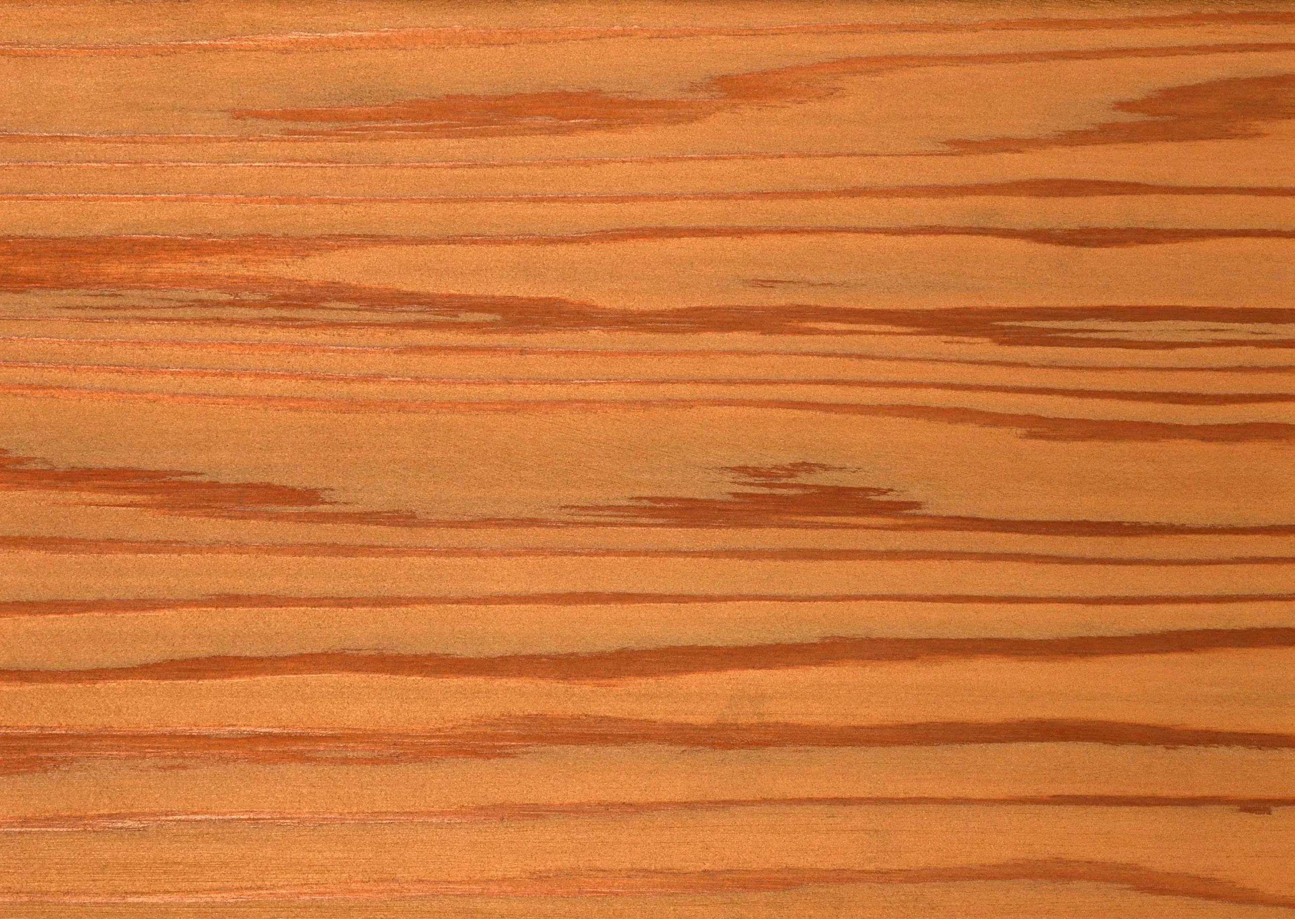 Lưu nháp tự động