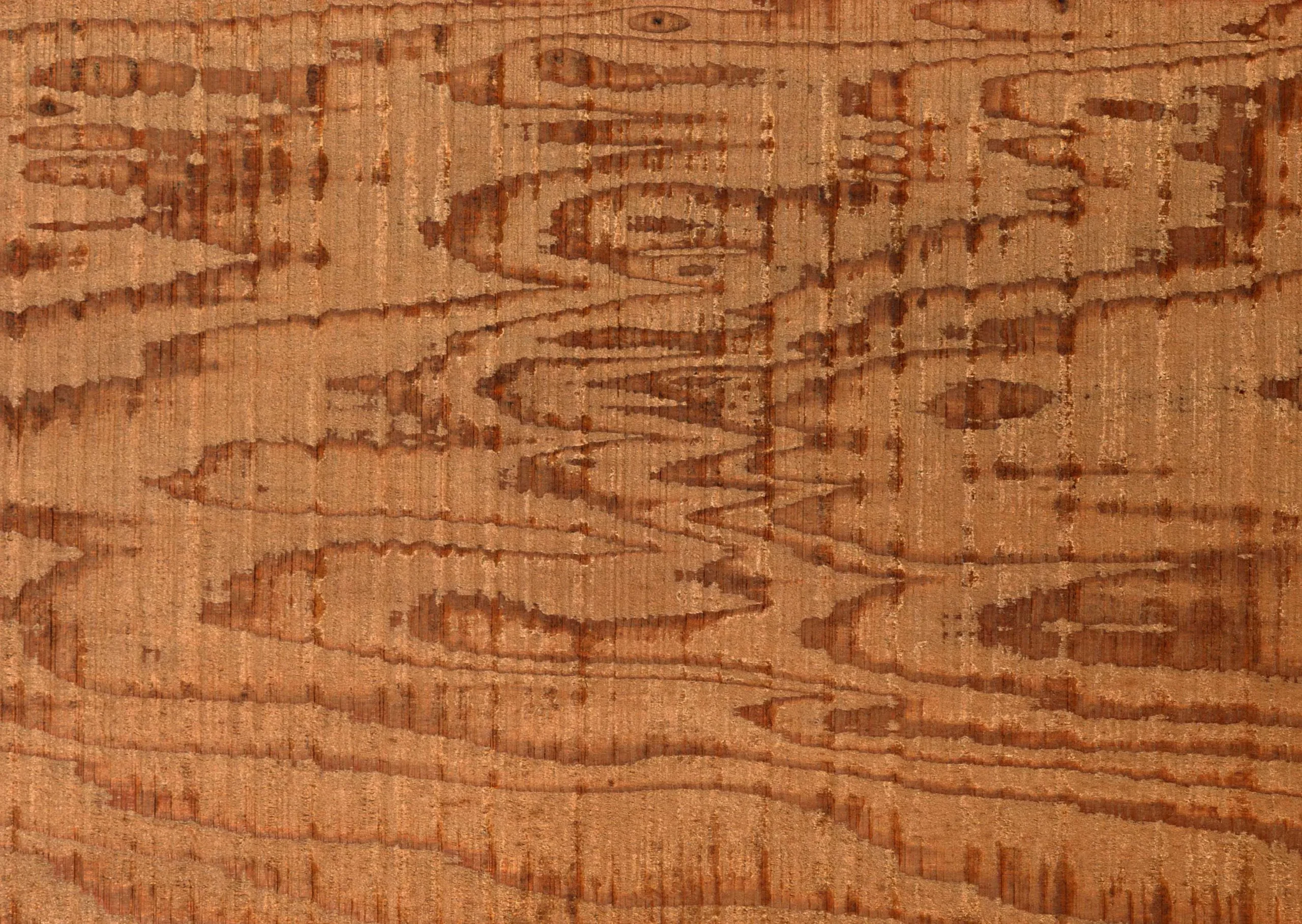 Lưu nháp tự động